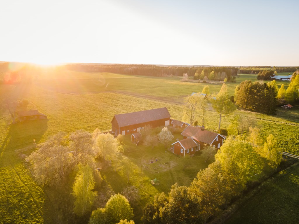 Stora Rör Lillegården 3